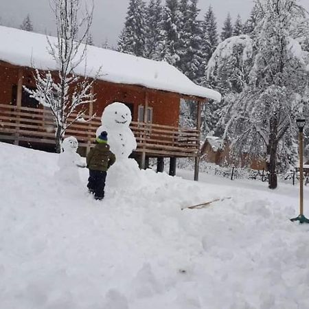 Cottage Shgedi Местия Экстерьер фото