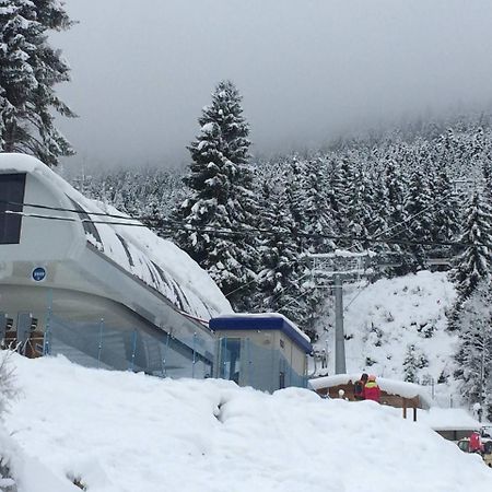 Cottage Shgedi Местия Экстерьер фото