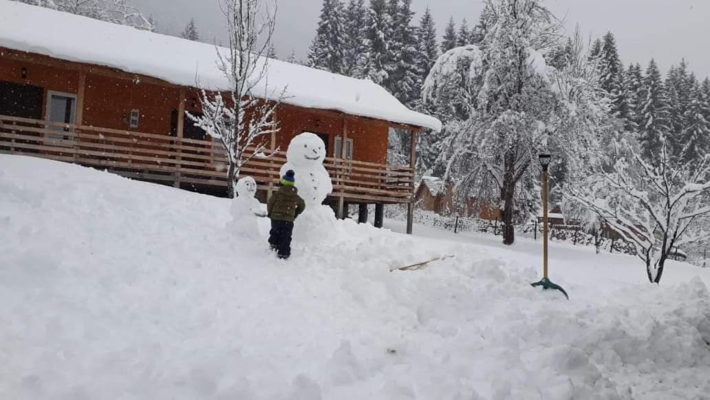 Cottage Shgedi Местия Экстерьер фото