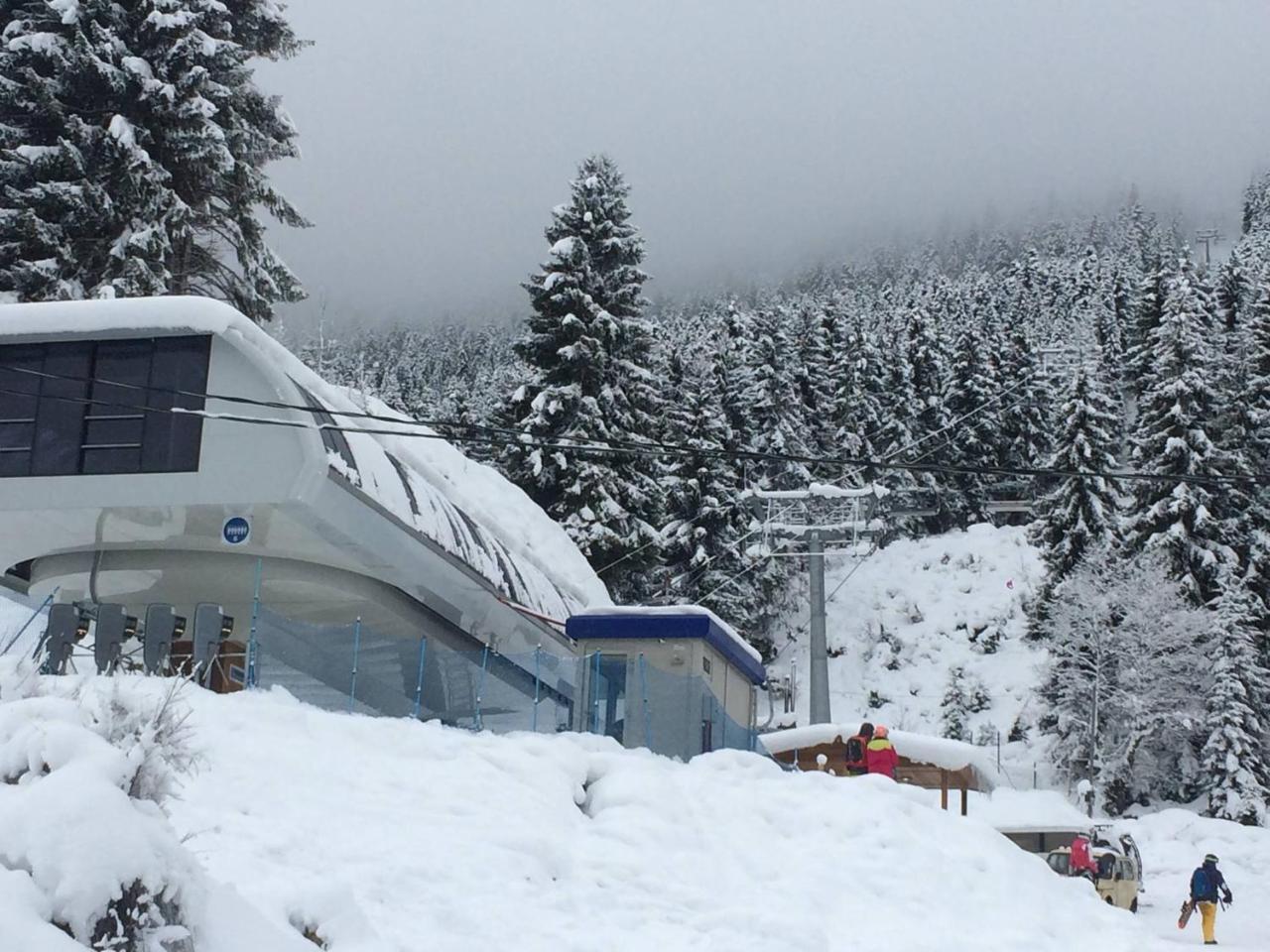 Cottage Shgedi Местия Экстерьер фото