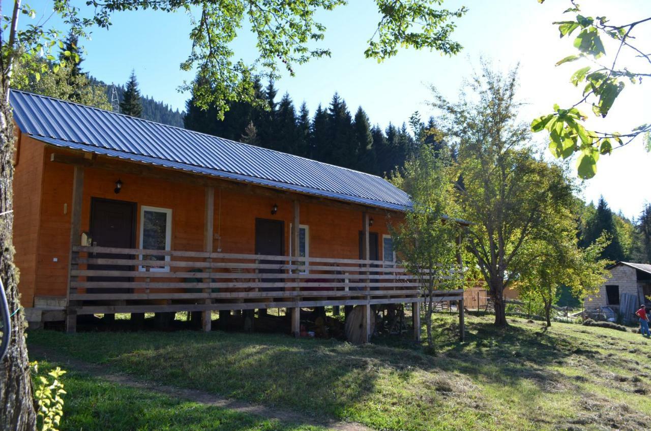 Cottage Shgedi Местия Экстерьер фото