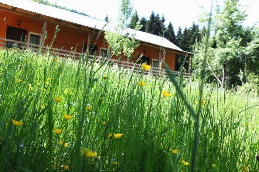 Cottage Shgedi Местия Экстерьер фото